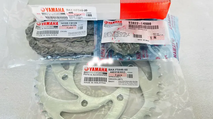 Saiz Sprocket Standard Y16