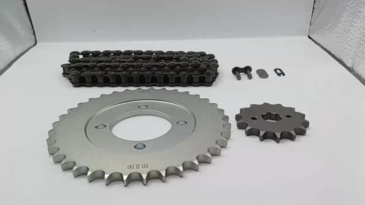 Saiz Sprocket Standard Kriss