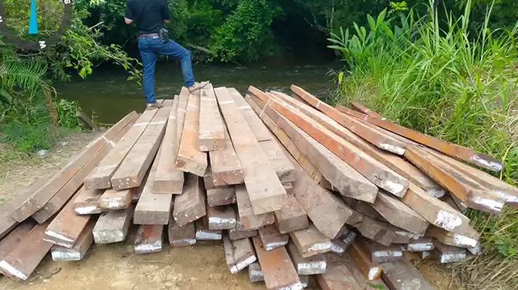 Ukuran Kayu Belian di Malaysia