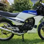 Saiz Disc AR125