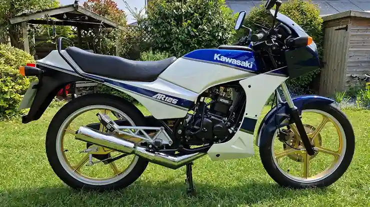 Saiz Disc AR125